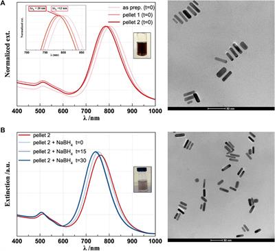 A simple approach for CTAB-free and biofunctionalized gold nanorods to construct photothermal active nanomedicine for potential in vivo applications in cancer cells and scar treatment